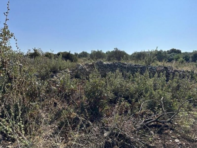 Gallos Kreta, Gallos: Erstklassiges Grundstück mit Meerblick zu verkaufen Grundstück kaufen